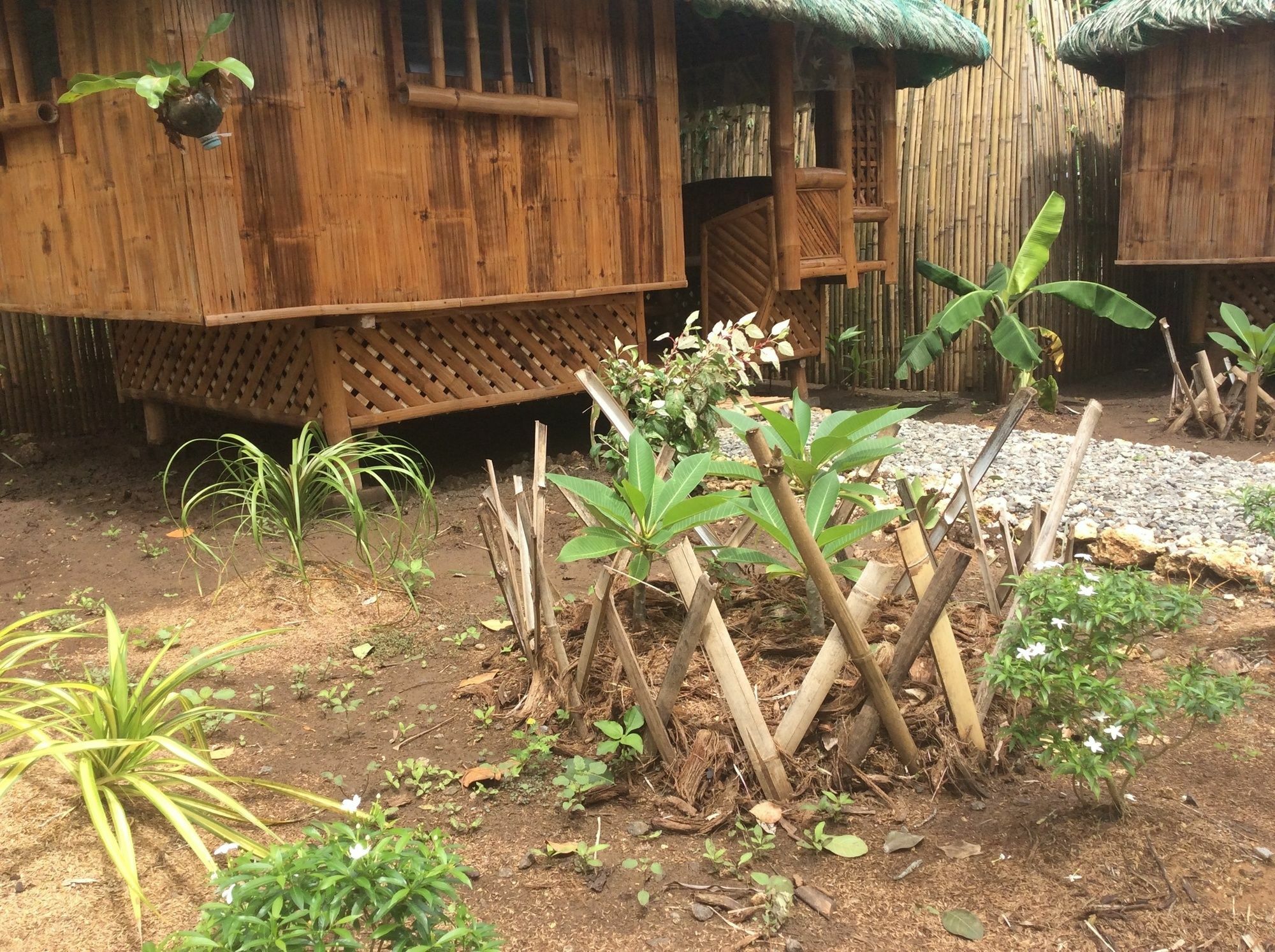 Adrianas Place Panglao Kültér fotó
